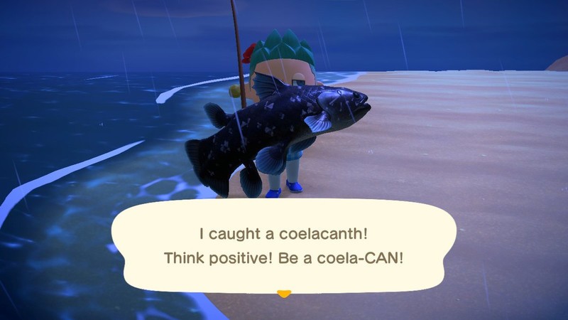 Animal Crossing New Horizons Bugs précieux Coquilles de poisson