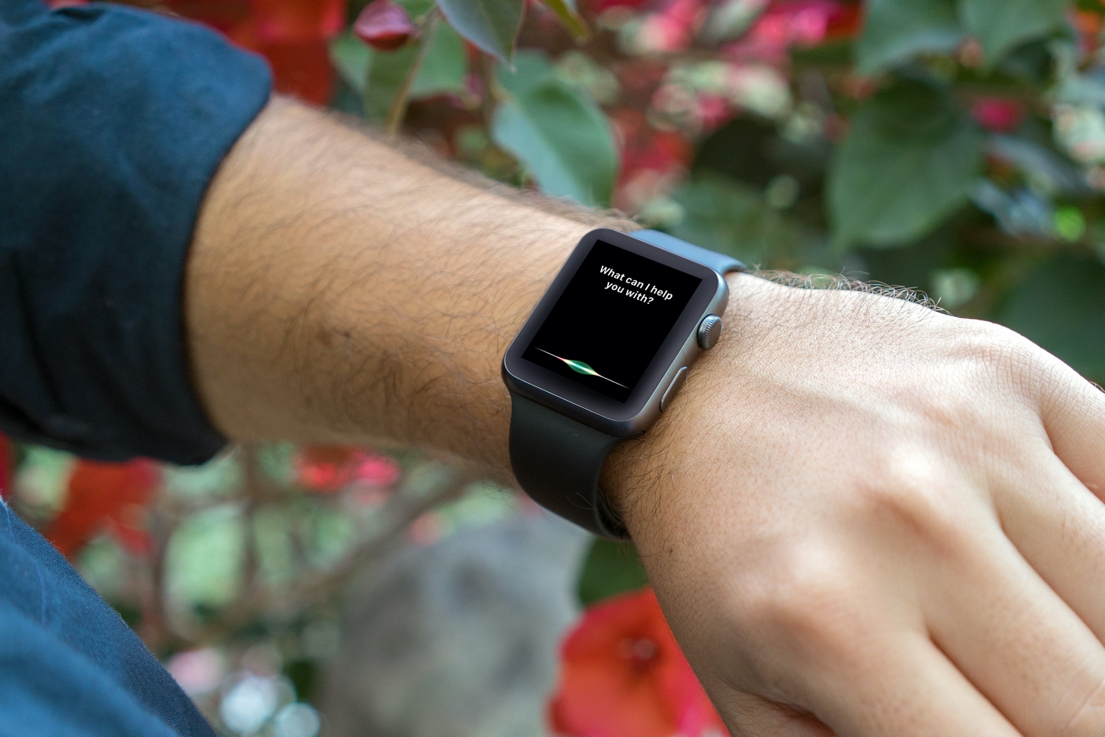 Écran Siri sur Apple Watch Garden