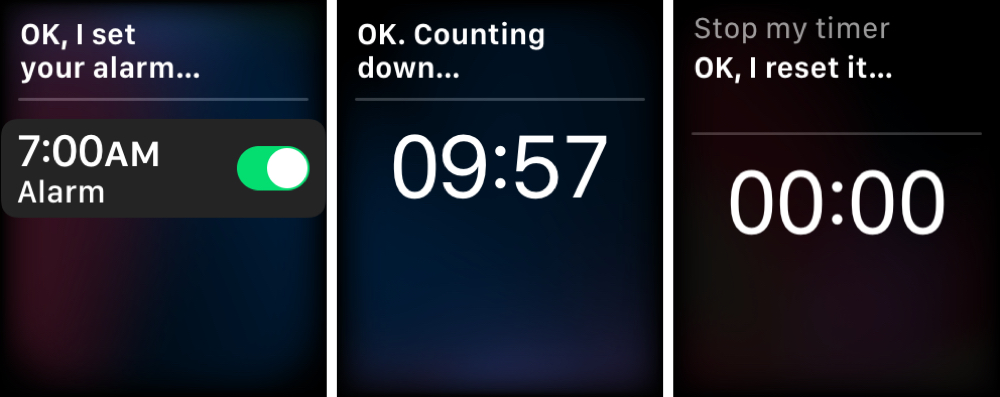 Siri Set Timer Alarm Apple Watch