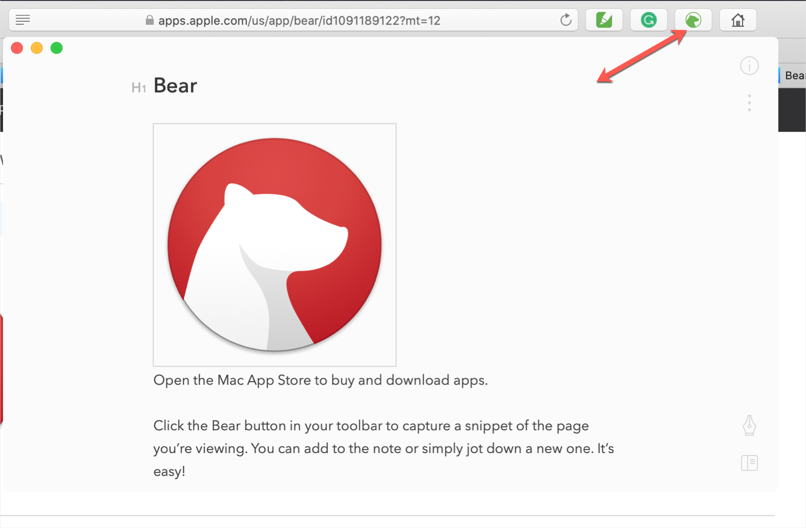 Extension Bear Safari pour Notes