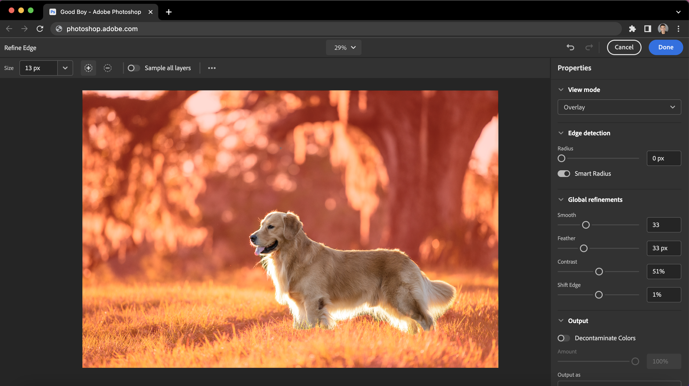 La fonctionnalité Refine Edge est présentée dans cette capture d'écran du navigateur de la version Web de Photoshop, fournie par Adobe