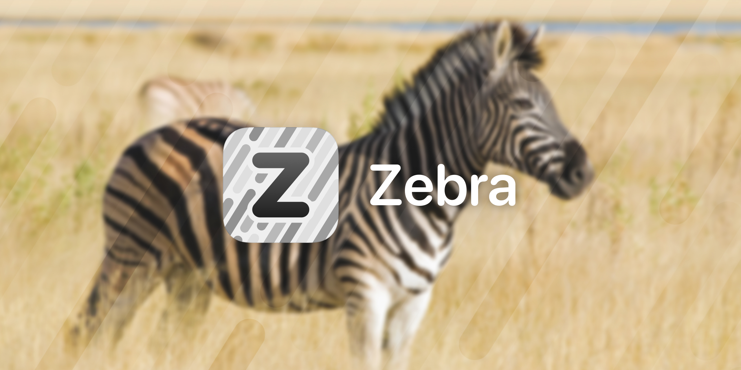 Zebra package manager promo image.