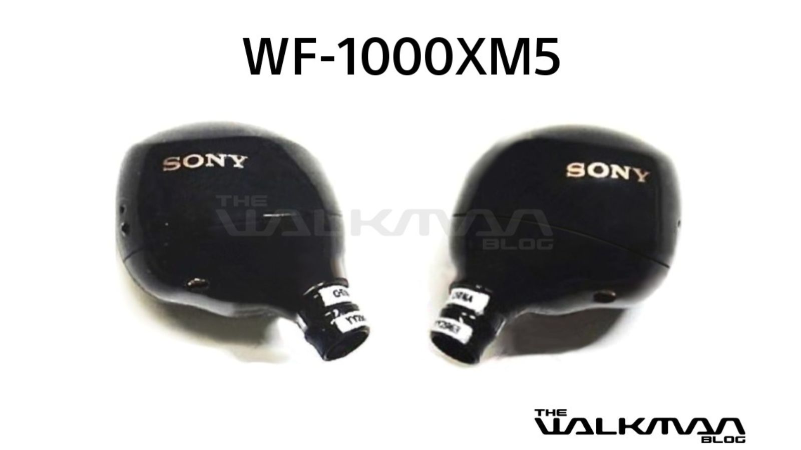 Fuite Sony WF-1000XM5