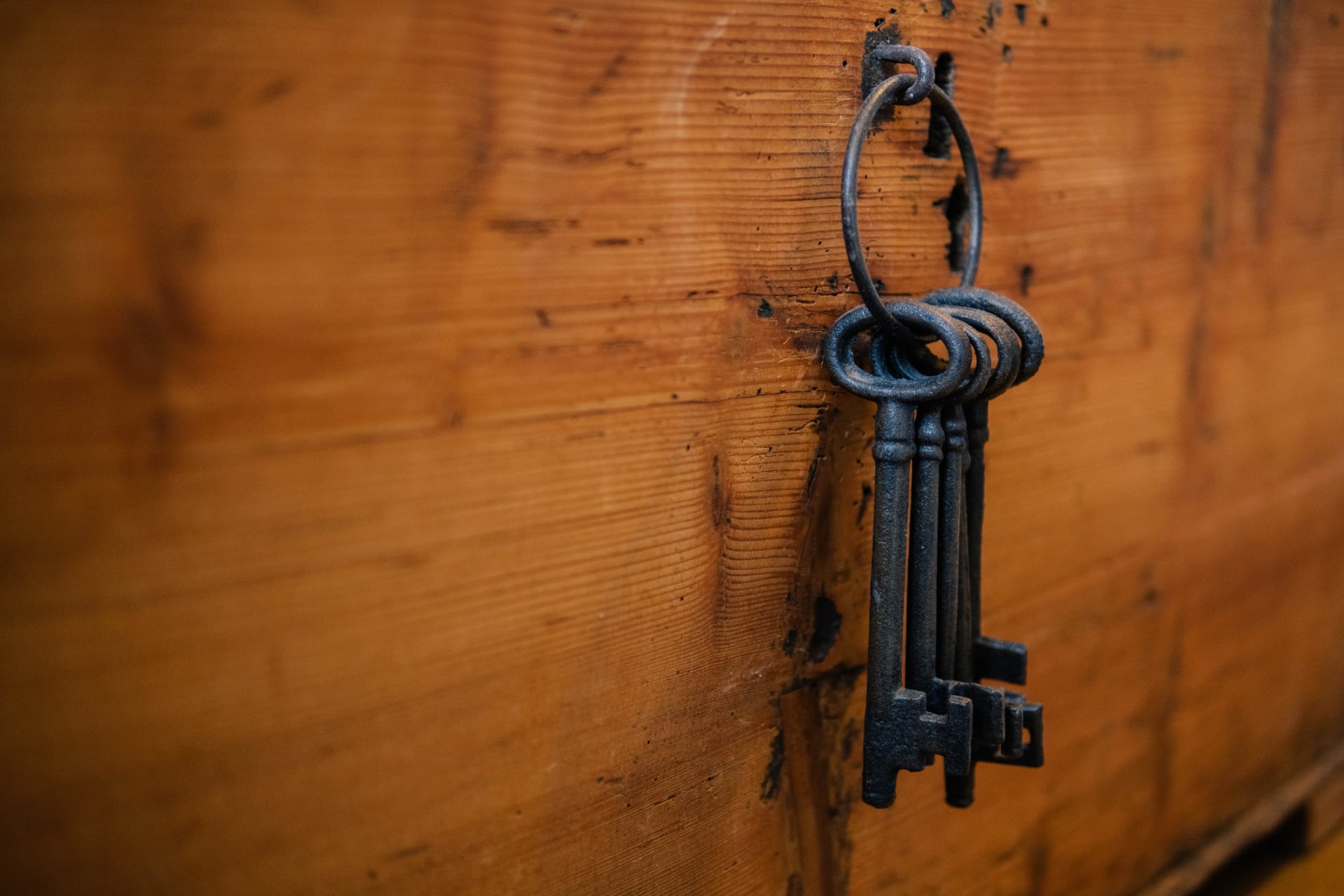 Vieilles clés de fer accrochées à un panneau de bois rustique