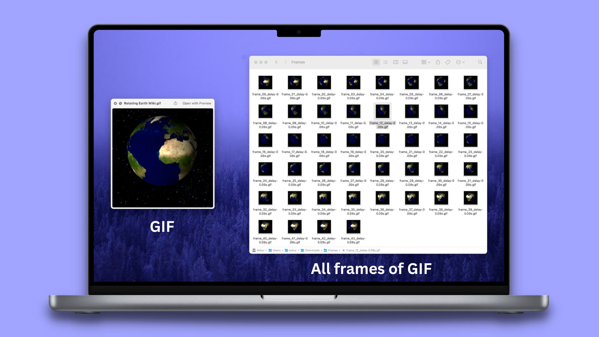 Enregistrement d'images individuelles d'un GIF en tant qu'images séparées sur Mac