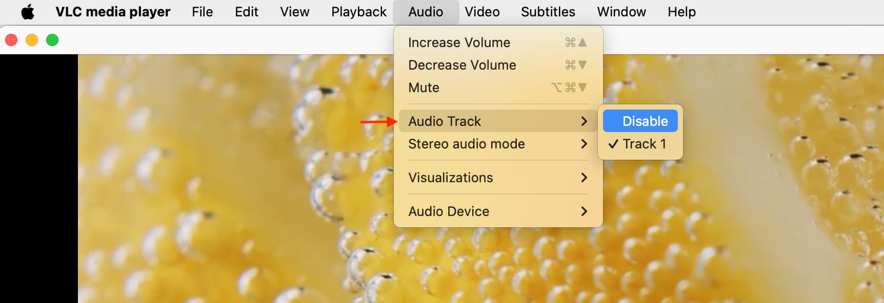 Audio Track option in VLC on Mac