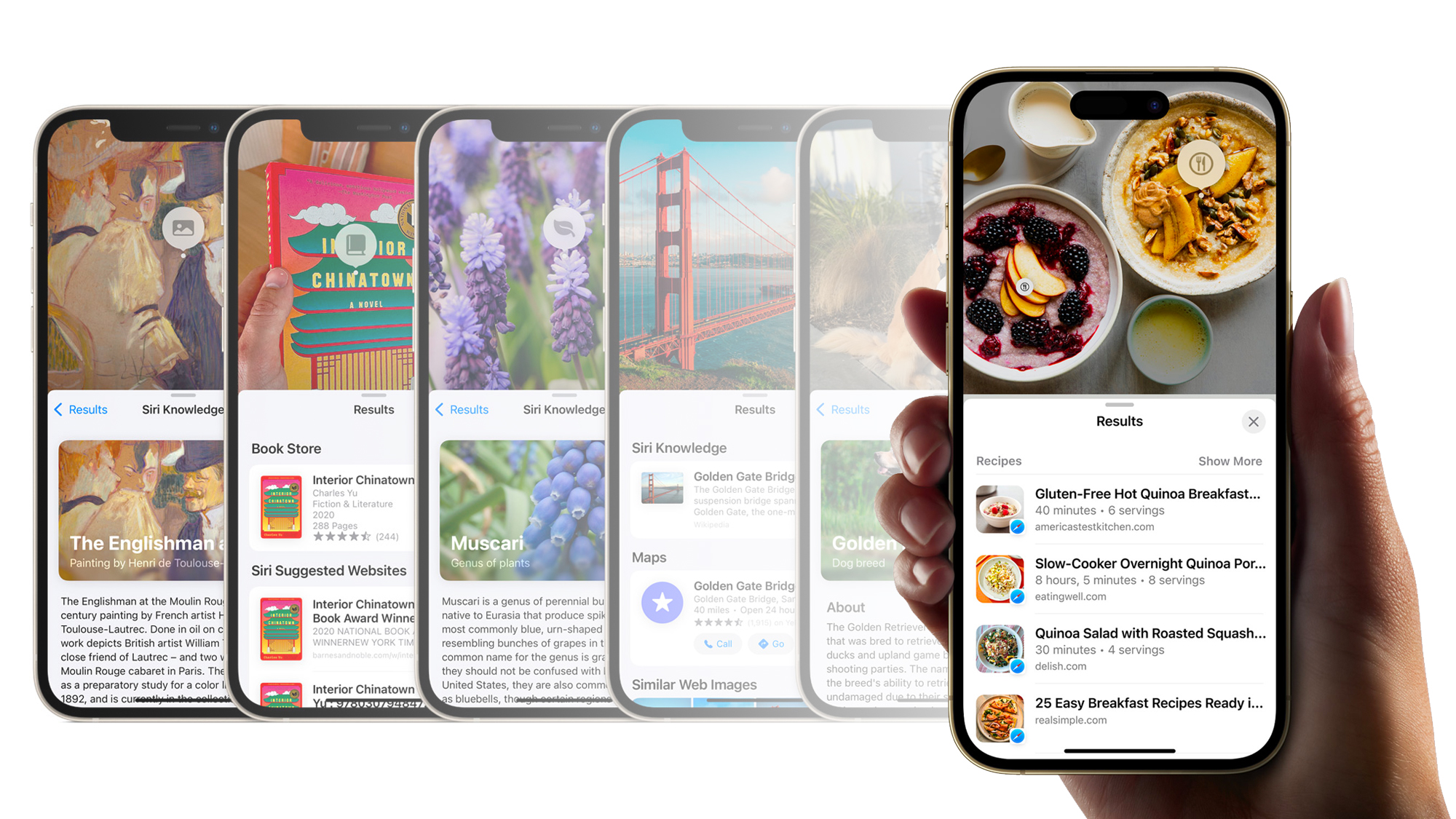 How to Visual Look Up food recipe iOS 17 press image