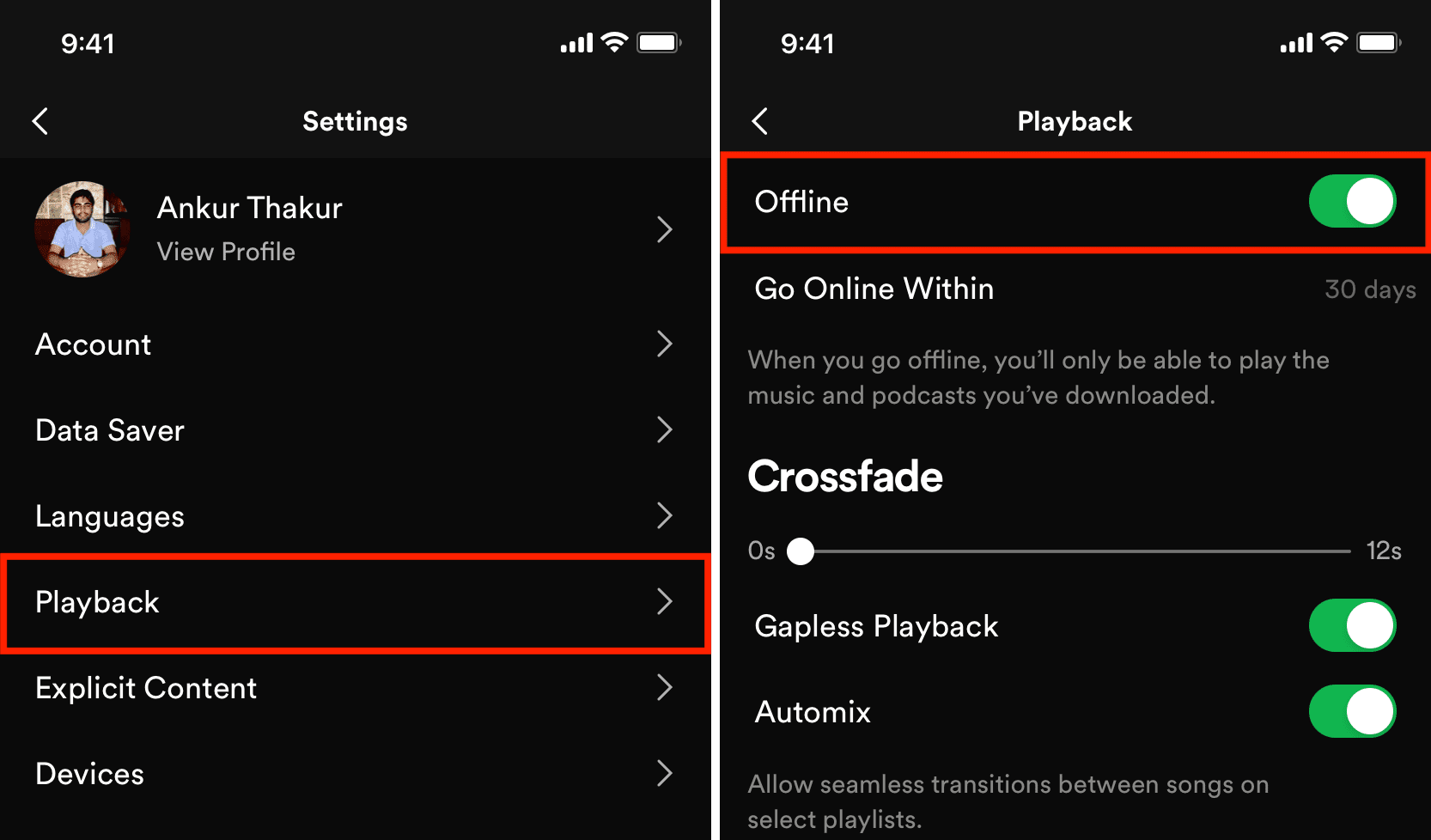 Offline mode enabled in Spotify on iPhone