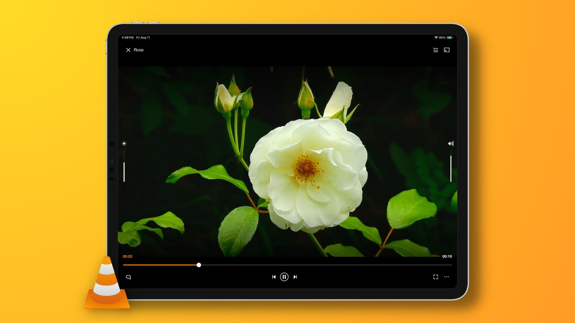 VLC Media Player on iPad
